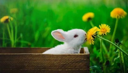 阿勒泰最新24小时上门回收公积金卡方法分析(最方便真实的阿勒泰24小时上门回收公积金卡电话方法)